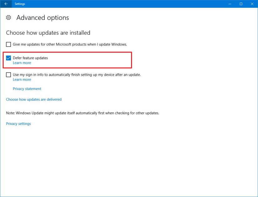 Windows Update, Defer feature updates option