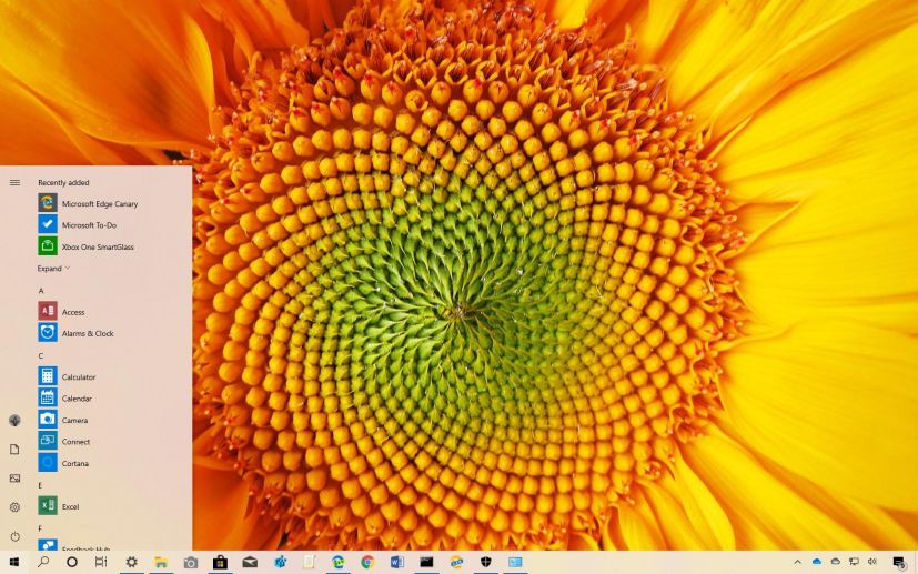 Fibonacci Sequence in Nature Windows theme