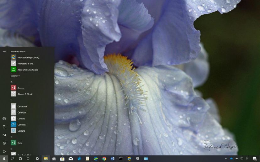 Spring Blooms 2 theme for Windows