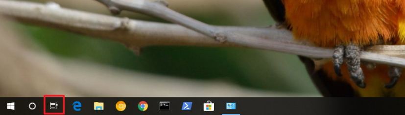 Task View button in the taskbar