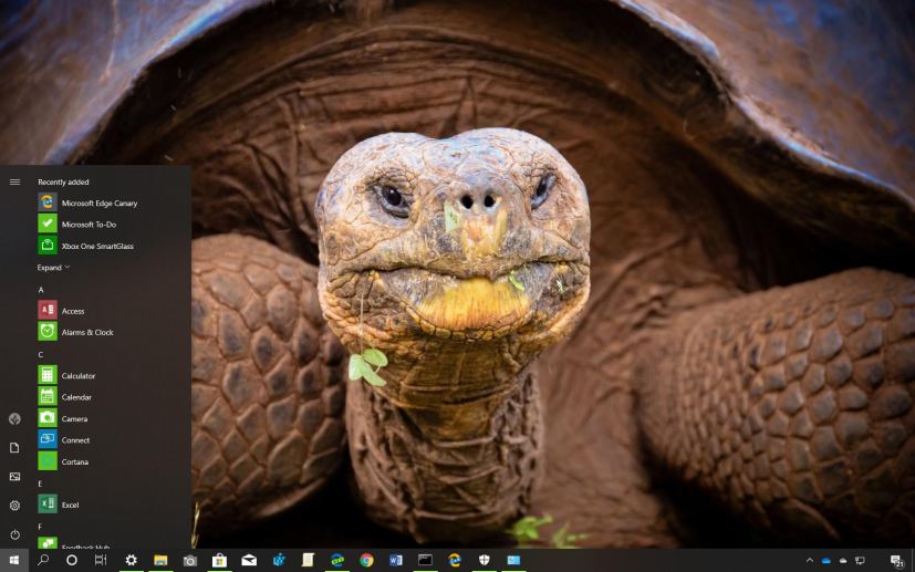 Turtles And Tortoises theme for Windows 10