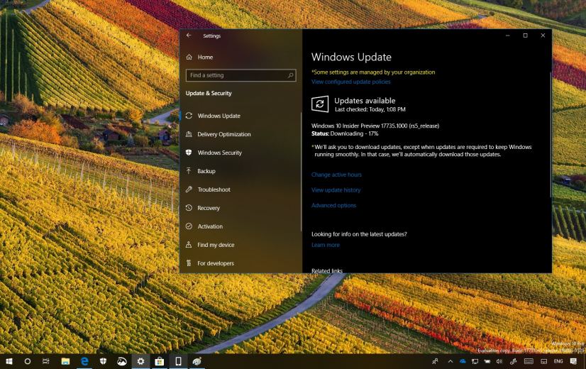 Windows 10 build 17735