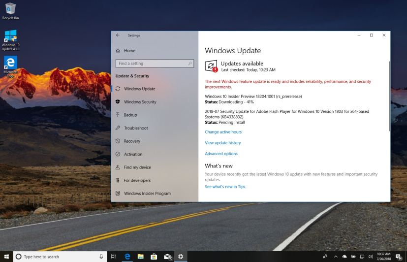 Windows 10 build 18204