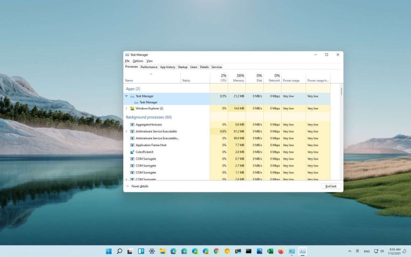 Windows 11 Task Manager