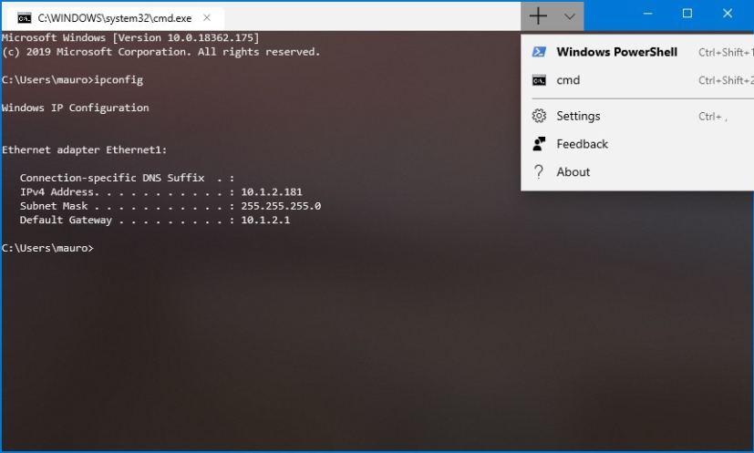 Windows Terminal preview